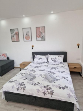 Zed apartmani Leskovac